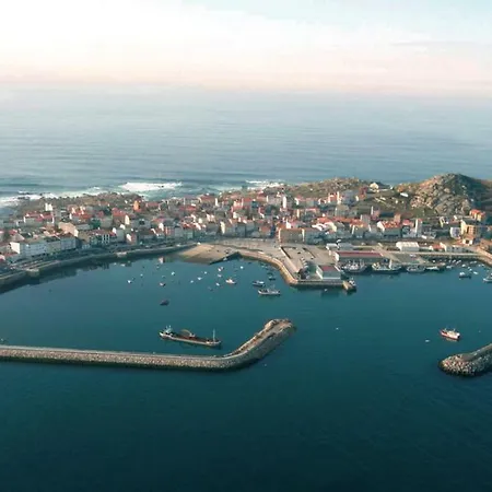 Piso O Percebe ムシア